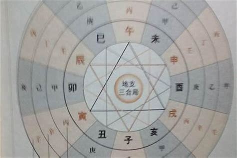 先天胎元意思|什么是胎元八字？與生辰八字有何區別？